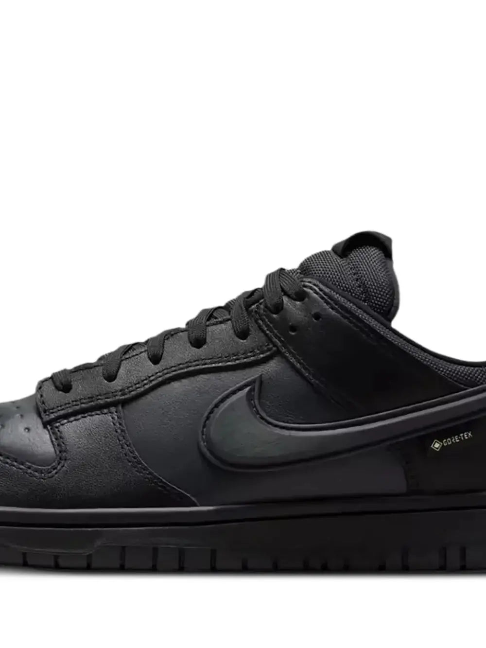 Nike Gore-Tex Dunk Low-Top Trainers Grazuv Mart