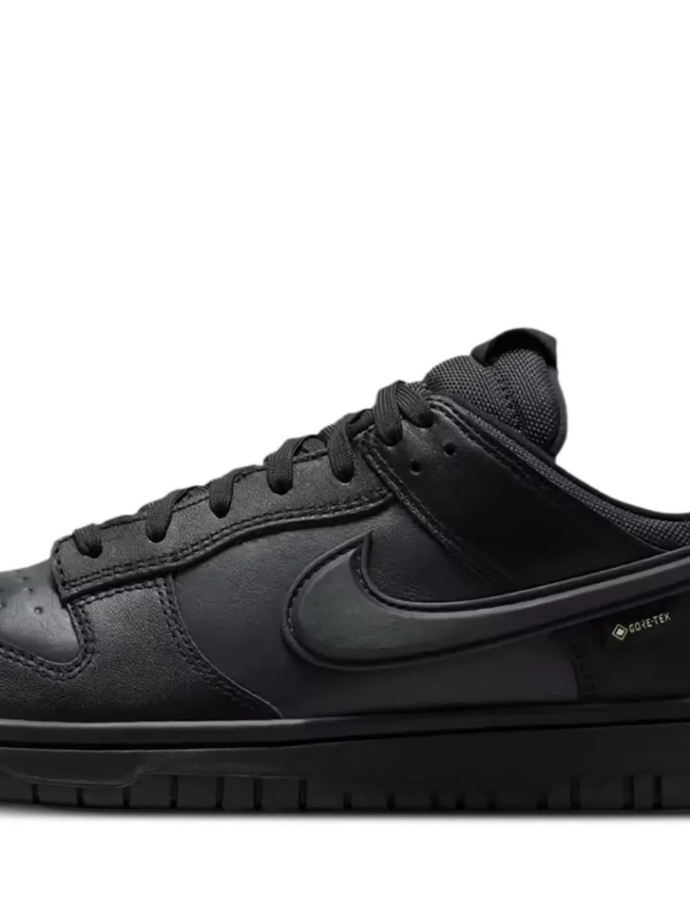 Nike Gore-Tex Dunk Low-Top Trainers Grazuv Mart